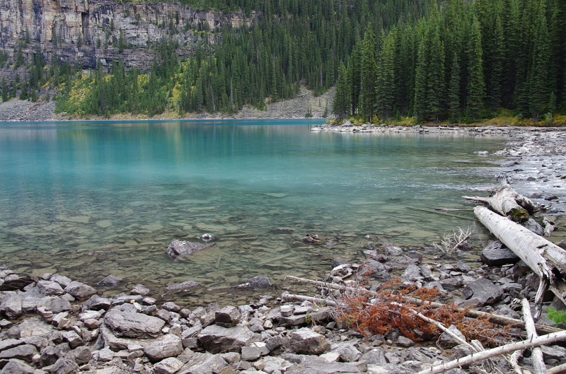 Banff NP 'Moraine  Lake Lakeshore' 16_09_2011 (211).JPG